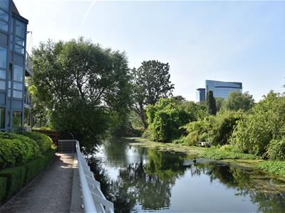 Picture 14
